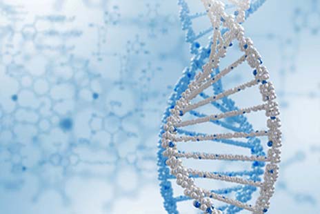 响应式网站制作