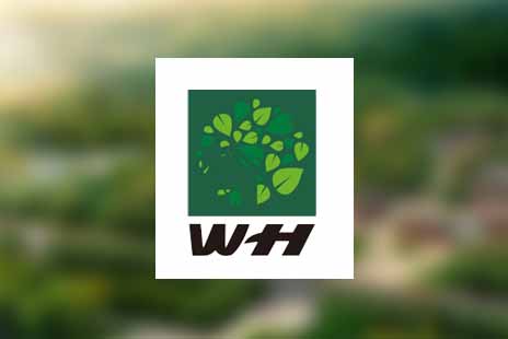 响应式网站制作